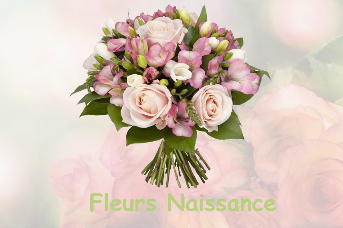 fleurs naissance AISY-SUR-ARMANCON